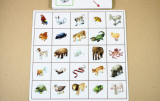 Orientace v prostoru - Kroková hra