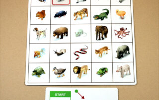 Orientace v prostoru - Kroková hra