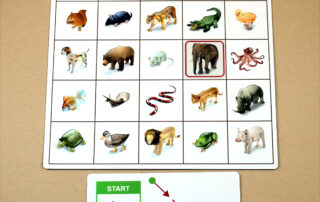 Orientace v prostoru - Kroková hra