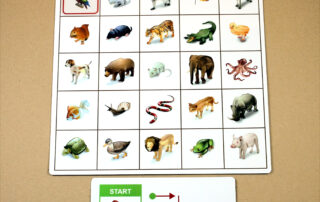 Orientace v prostoru - Kroková hra