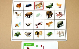 Orientace v prostoru - Kroková hra