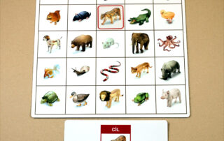 Orientace v prostoru - Kroková hra