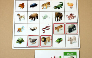 Orientace v prostoru - Kroková hra