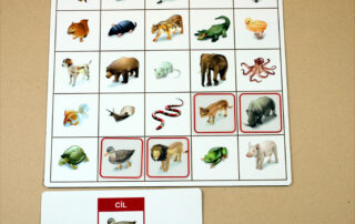 Orientace v prostoru - Kroková hra