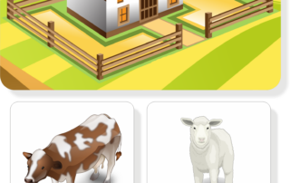 Kde žijí zvířata | 103 přiřazovacích karet