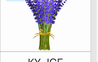 Obrázková abeceda | líc karty