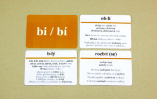 Vyjmenovaná slova (slova s y/i po obojetných souhláskách) | 508 přiřazovacích karet