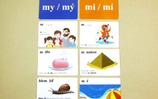 Vyjmenovaná slova (slova s y/i po obojetných souhláskách) | 508 přiřazovacích karet