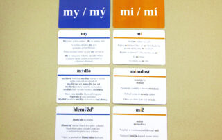 Vyjmenovaná slova (slova s y/i po obojetných souhláskách) | 508 přiřazovacích karet