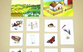 Kde žijí zvířata | 103 přiřazovacích karet