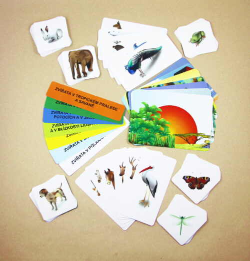 Kde žijí zvířata | 103 přiřazovacích karet