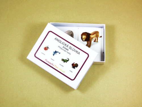 Anglická slůvka - Zvířata