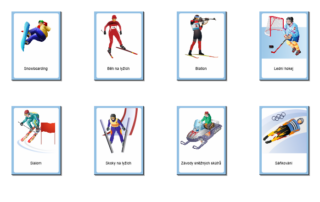 Sport | Třísložkové karty - ukázka kontrolních karet v kategorii Zimní sporty